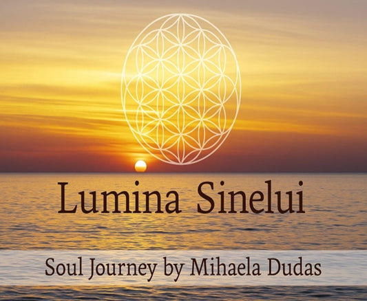 Meditatia Recoltei Divine